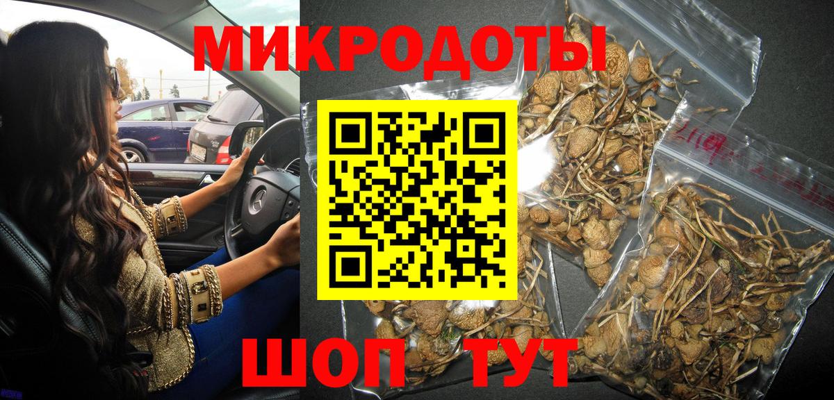 Псилоцибиновые грибы мицелий Надым