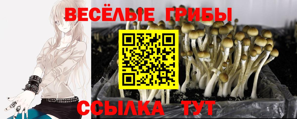 Надым  Галлюциногенные грибы мицелий  Вход с VPN 